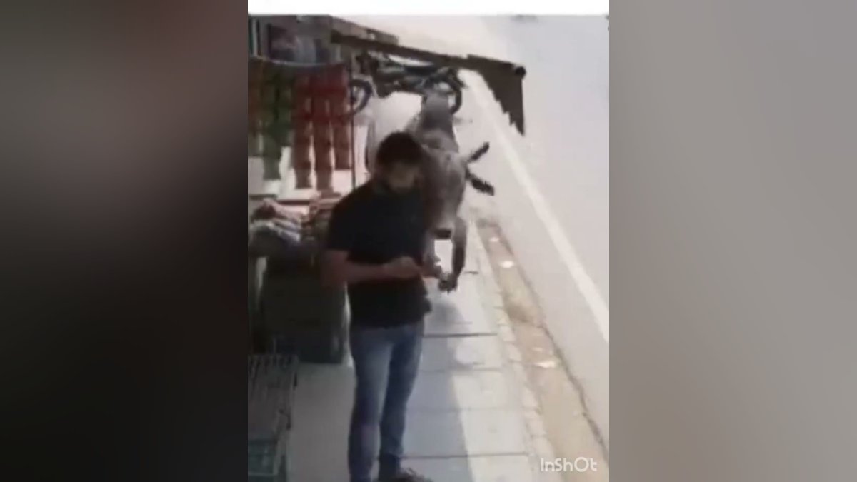 Homem se afasta para desviar de animal e escapa de estrutura que despencou na calçada