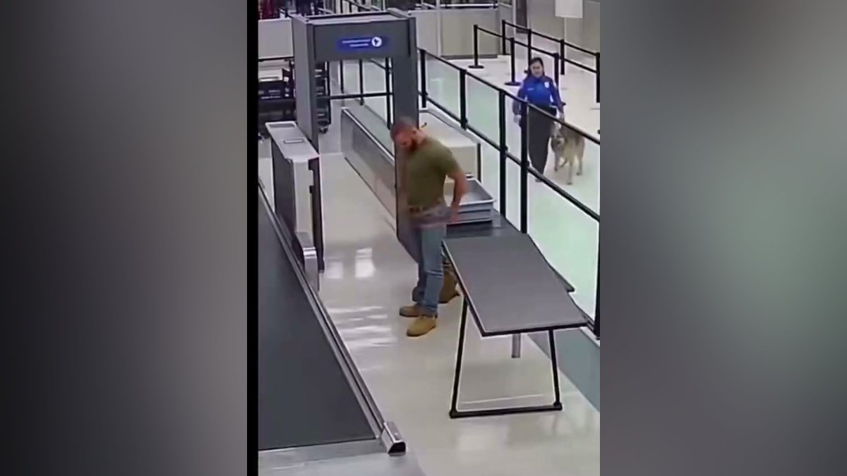 Cão de serviço reconhece antigo treinador em aeroporto e pula barreira de segurança para abraçá-lo