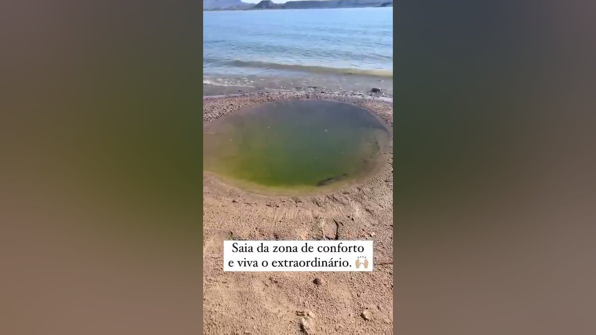 Vídeo mostra peixe saindo de pequena poça e se lançando em direção às águas abertas
